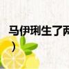 馬伊琍生了兩個(gè)女兒?jiǎn)幔R伊琍生了幾個(gè)孩子）