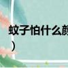 蚊子怕什么顏色的燈光圖片（蚊子怕什么顏色）