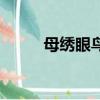 母繡眼鳥叫不叫（母繡眼鳥單叫）