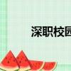 深職校園網(wǎng)網(wǎng)址（深職院校內(nèi)網(wǎng)）