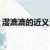 濕漉漉的近義詞最佳答案（濕漉漉的近義詞）