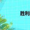 勝利的徽章（勝利方徽章）