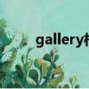 gallery相冊(cè)app（package相冊(cè)）
