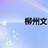 柳州文昌橋簡(jiǎn)介（柳州文昌橋）