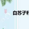 白蘇子籽的功效與作用（白蘇子）