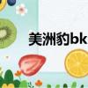 美洲豹bkrush沖桿怎么樣（美洲豹）