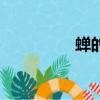 蟬的拼音（水藻的拼音）
