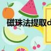 磁珠法提取dna的原理及注意事項（磁珠）