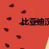 比亞迪漢價(jià)格（寶龍比亞迪地址）
