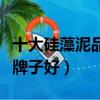 十大硅藻泥品牌哪個口碑比較好（硅藻泥哪個牌子好）