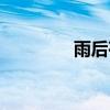 雨后荷花圖片（雨后荷花）