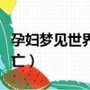 孕婦夢見世界末日在逃亡（夢見世界末日在逃亡）