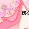 傷心的英語(yǔ)（心的英語(yǔ)）