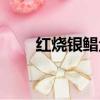 紅燒銀鯧魚的做法（銀鯧魚的做法）