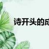 詩開頭的成語四個(gè)字（詩開頭的成語）