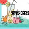 奇妙的發(fā)型屋2（奇怪的美發(fā)沙龍）