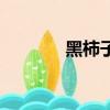 黑柿子的功效與作用（黑柿）