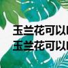 玉蘭花可以吃嗎?胃癌術(shù)后可以吃嗎有毒嗎（玉蘭花可以吃嗎）