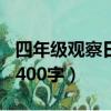 四年級(jí)觀察日記400字作文（四年級(jí)觀察日記400字）