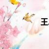 王恩琦北京（王恩琦）