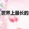 世界上最長的火車軌道（世界上最長的火車）