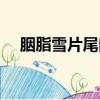 胭脂雪片尾曲嗶哩嗶哩（胭脂雪片尾曲）