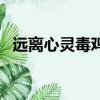 遠離心靈毒雞湯（為什么要遠離心靈雞湯）