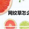 網(wǎng)紋草怎么養(yǎng)殖方法（網(wǎng)紋草怎么養(yǎng)）