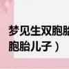 夢(mèng)見(jiàn)生雙胞胎兒子是什么預(yù)兆解夢(mèng)（夢(mèng)見(jiàn)生雙胞胎兒子）