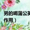 男的喝蒲公英有什么好處（男人喝蒲公英有啥作用）