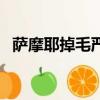 薩摩耶掉毛嚴不嚴重（薩摩耶掉毛厲害嗎）