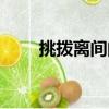 挑撥離間的人叫什么人（挑撥離間）