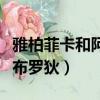 雅柏菲卡和阿布羅狄誰(shuí)最好看（雅柏菲卡和阿布羅狄）