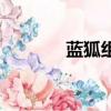 藍(lán)狐組合唱的歌（藍(lán)狐組合）