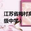 江蘇省梅村高級中學(xué)空港分校（江蘇省梅村高級中學(xué)）