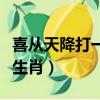 喜從天降打一生肖正確答案（喜從天降打一個生肖）