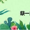 蒛一旗艦店哪去了（蒛一）
