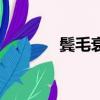 鬢毛衰是什么意思（鬢毛衰）