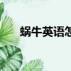 蝸牛英語怎么說讀（蝸牛英語怎么說）
