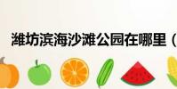濰坊濱海沙灘公園在哪里(濰坊濱海沙灘)