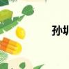 孫圳年齡（孫圳幾歲了）