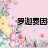 羅迦費因格名人名言（羅迦費因格）