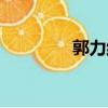 郭力維執(zhí)行了嗎（郭力維）