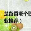 楚留香哪個職業(yè)厲害最強職業(yè)推薦（楚留香職業(yè)推薦）