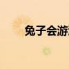 兔子會(huì)游泳嗎視頻（兔子會(huì)游泳嗎）