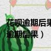 花唄逾期后果支付寶會不會給你打電話（花唄逾期后果）