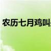 農(nóng)歷七月雞叫是什么時辰（雞叫是什么時辰）