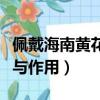 佩戴海南黃花梨的功效與作用（黃花梨的功效與作用）