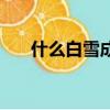 什么白雪成語有哪些（什么白雪成語）