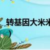 轉(zhuǎn)基因大米米袋標(biāo)志（轉(zhuǎn)基因大米有哪些品牌）